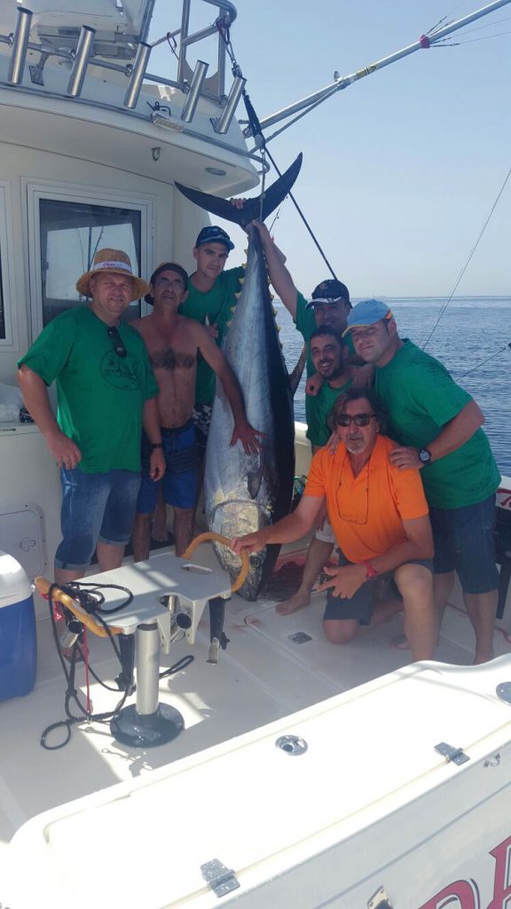 Pesca de atún rojo. bluefin tuna, en barco de alquiler de Marbella